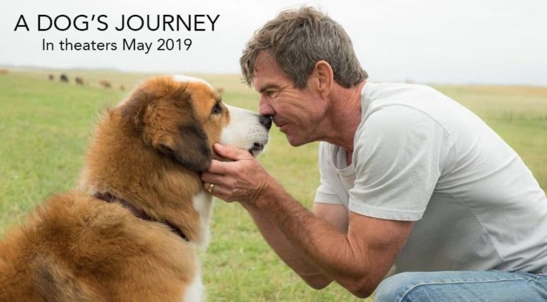 Trailer: A Dog’s Journey (2019)