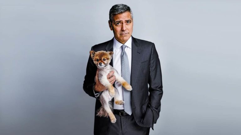 15 Najboljih filmova George Clooney
