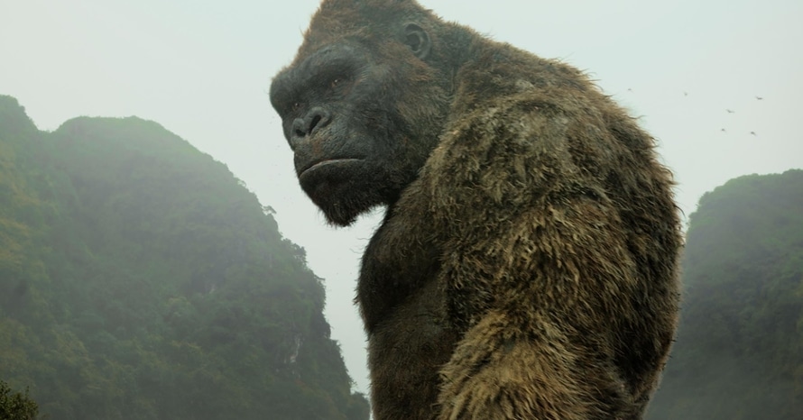 ‘Kong Vs. Godzilla’ prequel strip otkriva prvi pogled na odraslog King Konga