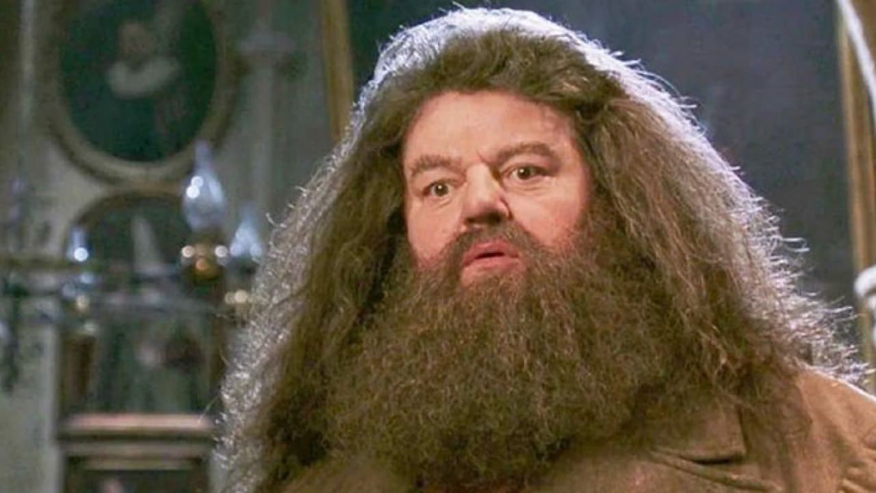 Fantastic Beasts 3 zvijezda priča o glasinama da će film dodati više Harry Potter likova