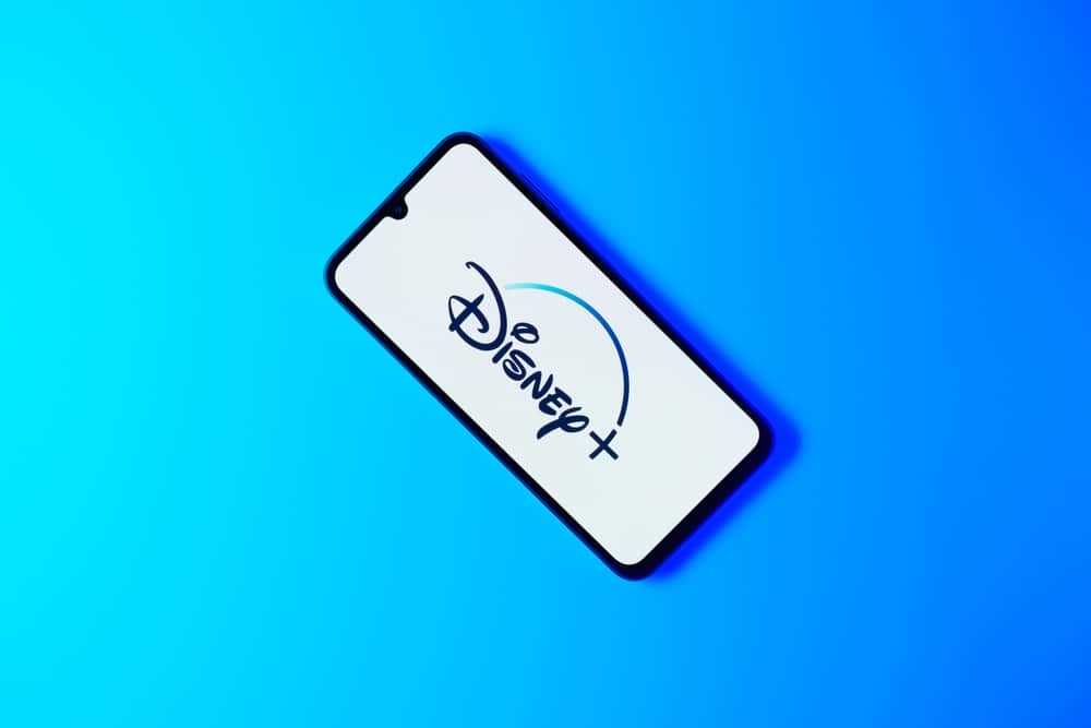 Disney+ streaming servis