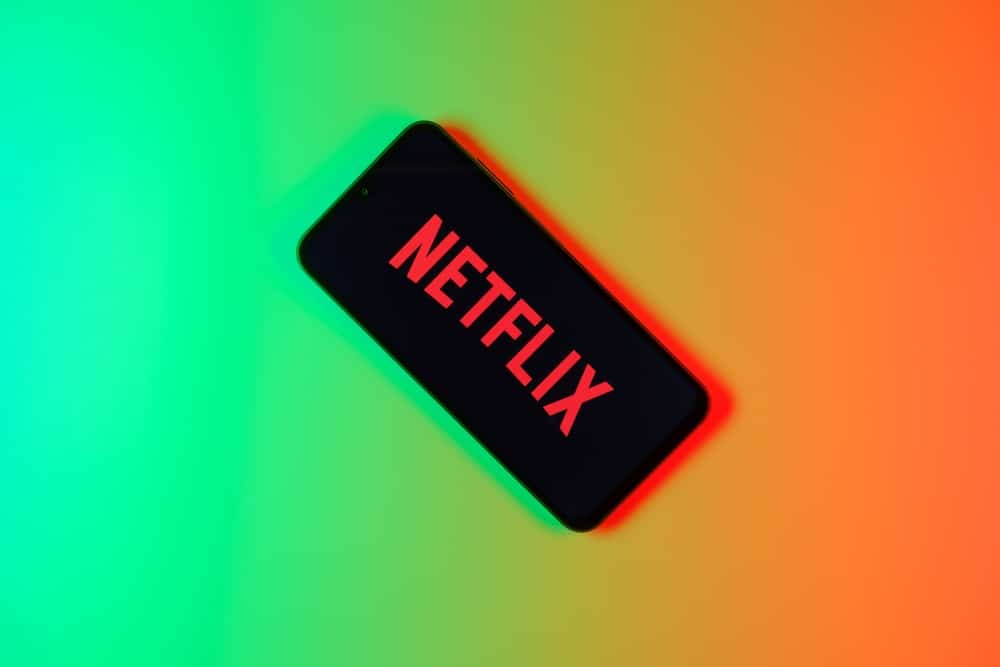 Netflix streaming servis